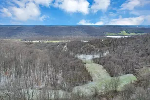 55385 Seneca Lake Rd, Quaker City, OH 43773 - Photo 45