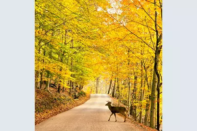 1015 Taos Lane, Hide A Way Hills, OH 43107 - Photo 27