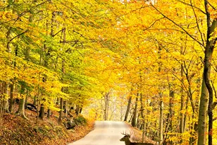 1015 Taos Ln, Hide A Way Hills, OH 43107 - Photo 27