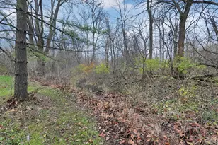 4350 Headleys Mill Rd SW, Pataskala, OH 43062 - Photo 45