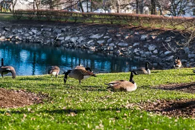 3384 Smileys #3384, Hilliard, OH 43026 - Photo 59