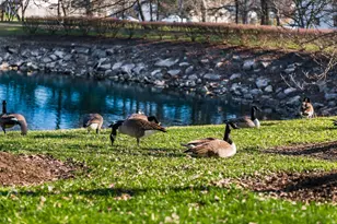 3384 Smileys, Hilliard, OH 43026 - Photo 59