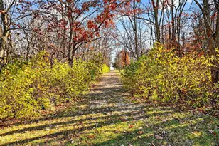 12893 Goodman Rd, Ashville, OH 43103 - Photo 47