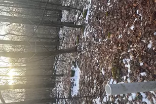 0 McKee Hill Rd, Frazeysburg, OH 43822 - Photo 3