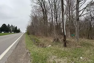 0 State Rte 61, Mount Gilead, OH 43338 - Photo 5