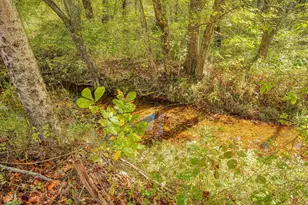 25140 Shurtz Rd, New Plymouth, OH 45654 - Photo 37