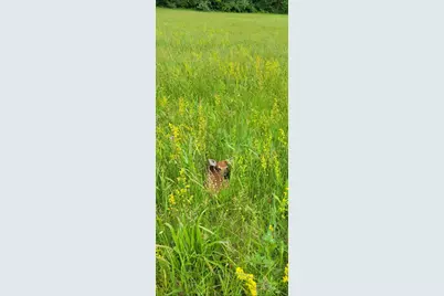 25140 Shurtz Road, New Plymouth, OH 45654 - Photo 41