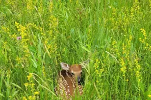 25140 Shurtz Rd, New Plymouth, OH 45654 - Photo 41