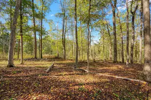 25140 Shurtz Rd, New Plymouth, OH 45654 - Photo 49