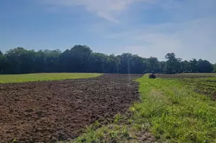 25140 Shurtz Rd, New Plymouth, OH 45654 - Photo 45