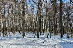 1686 Jupiter Ave, Hilliard, OH 43026 - Photo 1