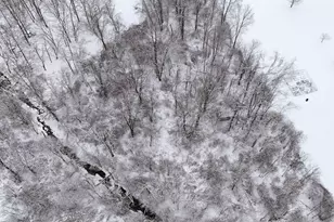 14411 Trenton Rd, Sunbury, OH 43074 - Photo 59