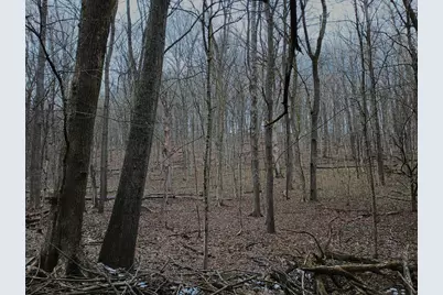 0 Chatham Road, Newark, OH 43055 - Photo 3