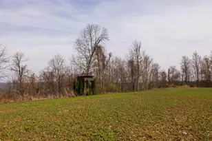 18999 River Rd, Athens, OH 45701 - Photo 45