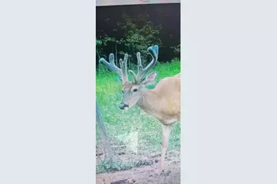 18999 River Road, Athens, OH 45701 - Photo 73