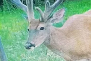 18999 River Rd, Athens, OH 45701 - Photo 73