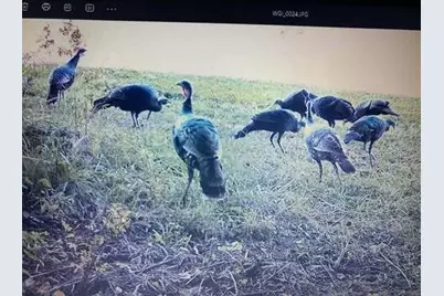 9141 Wesley Chapel Road, Mount Perry, OH 43760 - Photo 5