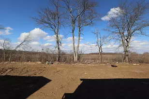 338 Cherry Hills Rd, Commercial Point, OH 43116 - Photo 21