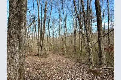 0 Dutch Ridge Road #(Woods Turkey Run Tract 4), New Lexington, OH 43764 - Photo 5