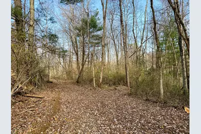 0 Dutch Ridge Road #(Woods Turkey Run Tract 4), New Lexington, OH 43764 - Photo 55