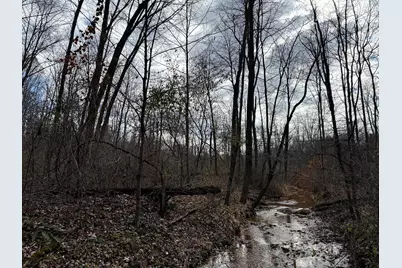 0 Dutch Ridge Road #(Woods Turkey Run Tract 4), New Lexington, OH 43764 - Photo 29