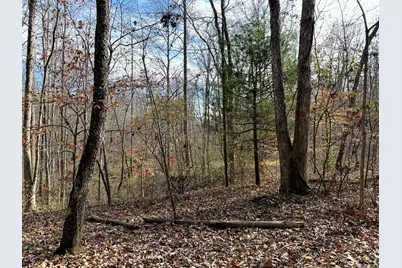 0 Dutch Ridge Road #(Woods Turkey Run Tract 4), New Lexington, OH 43764 - Photo 49