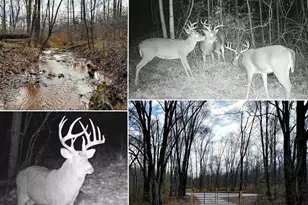 0 Dutch Ridge Rd, New Lexington, OH 43764 - Photo 1