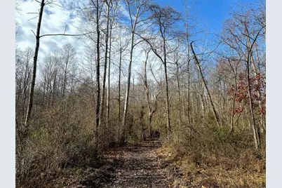 0 Dutch Ridge Road #(Woods Turkey Run Tract 4), New Lexington, OH 43764 - Photo 51