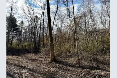 0 Dutch Ridge Road #(Woods Turkey Run Tract 4), New Lexington, OH 43764 - Photo 39