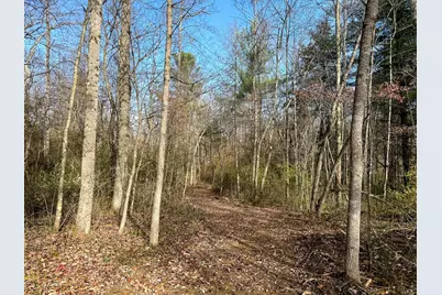 0 Dutch Ridge Road #(Woods Turkey Run Tract 4), New Lexington, OH 43764 - Photo 53