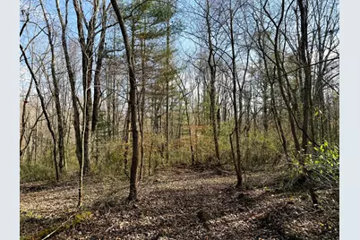 0 Dutch Ridge Road #(Woods Turkey Run Tract 4), New Lexington, OH 43764 - Photo 45