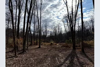 0 Dutch Ridge Road #(Woods Turkey Run Tract 4), New Lexington, OH 43764 - Photo 25