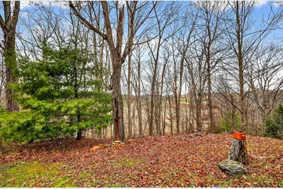 1521 Sam Gilliland Road, Oak Hill, OH 45656 - Photo 51