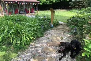 3265 Texter Rd, Mansfield, OH 44904 - Photo 41