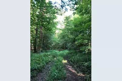 3265 Texter Road, Mansfield, OH 44904 - Photo 43