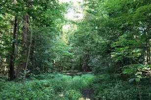 3265 Texter Rd, Mansfield, OH 44904 - Photo 43