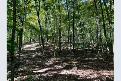 33747 Wolf Hill Road #(Wolf Hill House), McArthur, OH 45651 - Photo 67