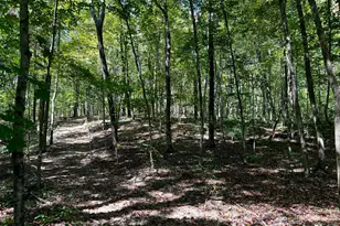 33747 Wolf Hill Rd, McArthur, OH 45651 - Photo 67