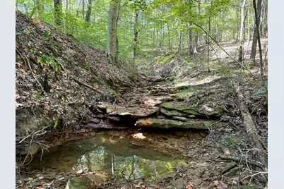 33747 Wolf Hill Road #(Wolf Hill House), McArthur, OH 45651 - Photo 11