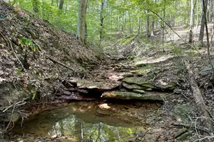 33747 Wolf Hill Rd, McArthur, OH 45651 - Photo 11