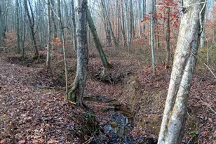 33747 Wolf Hill Rd, McArthur, OH 45651 - Photo 55