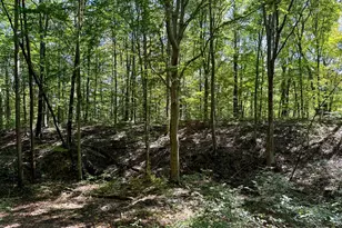 33747 Wolf Hill Rd, McArthur, OH 45651 - Photo 65