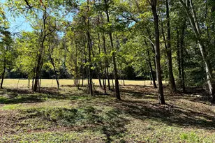 33747 Wolf Hill Rd, McArthur, OH 45651 - Photo 5