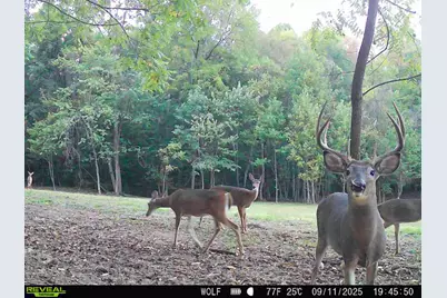 33747 Wolf Hill Road #(Wolf Hill House), McArthur, OH 45651 - Photo 57