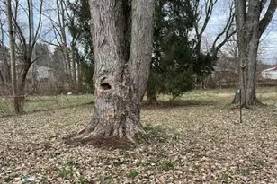 1559 Vilardo Ln, Columbus, OH 43227 - Photo 19