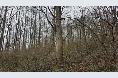 7857 Scenic Rd SE #(Lot 11 at Scenic Trails), Corning, OH 43730 - Photo 47