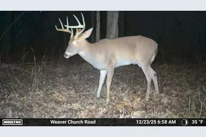 33056 Weaver Church Road, Albany, OH 45710 - Photo 3