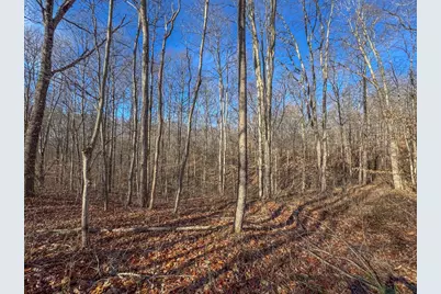 33056 Weaver Church Road, Albany, OH 45710 - Photo 19