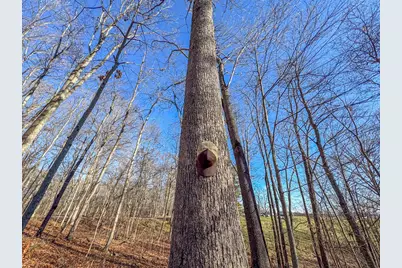 33056 Weaver Church Road, Albany, OH 45710 - Photo 9