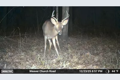 33056 Weaver Church Road, Albany, OH 45710 - Photo 5